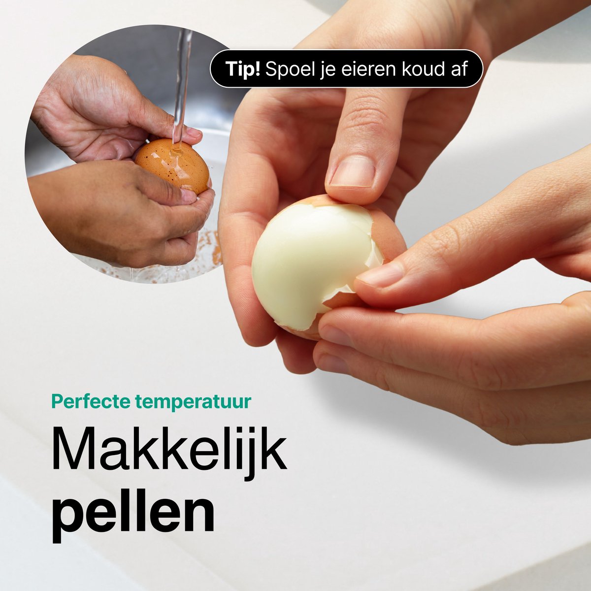 Vivid Green Eierkoker
