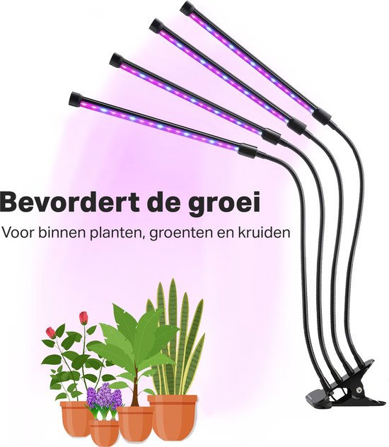 Vivid Green Kweeklamp