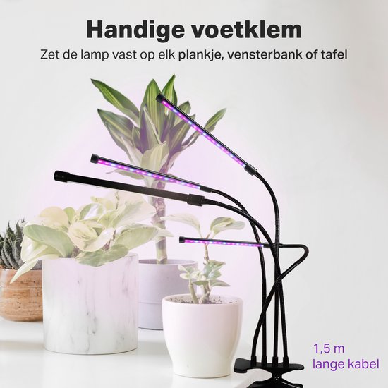 Vivid Green Kweeklamp