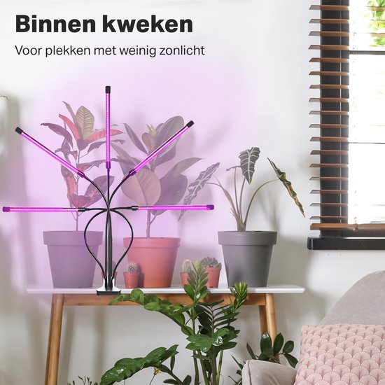 Vivid Green Kweeklamp