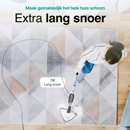 Vivid Green 2 in 1 Hoge druk Stoomreiniger
