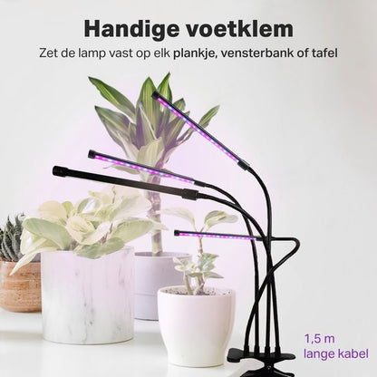 Vivid Green Kweeklamp