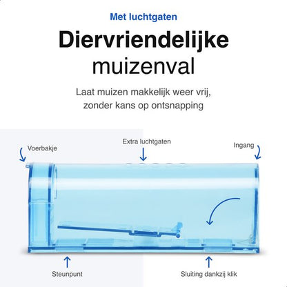 Vivid Green 2-Pack Diervriendelijke muizenval voor binnen & buiten blauw