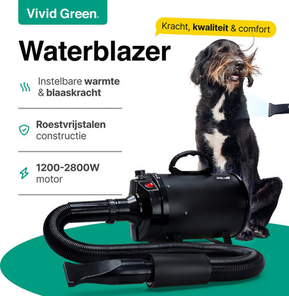 Vivid Green Waterblazer